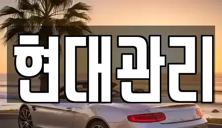 세종 반곡동 렌트카 전문 현대관리