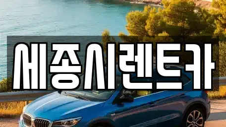 세종 반곡동 장기렌트카 전문 세종시렌트카