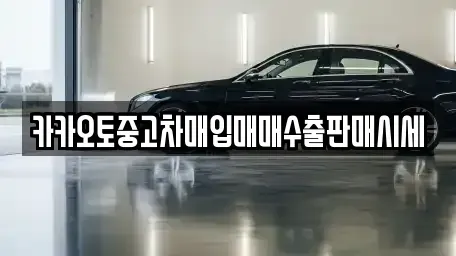 세종 반곡동 중고차 전문 카카오토중고차매입매매수출판매시세