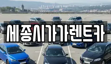 세종 산울동 렌트카 전문 세종시가가렌트카