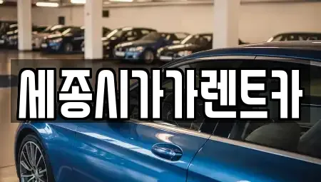 세종 장군면 단기렌트카 전문 세종시가가렌트카