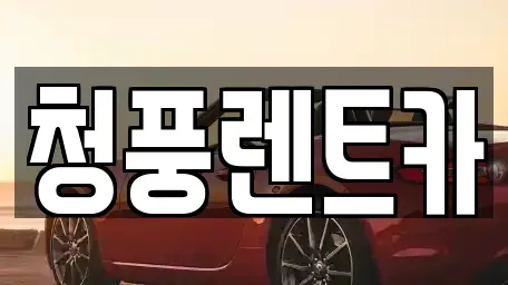 세종 장군면 렌트카 전문 청풍렌트카