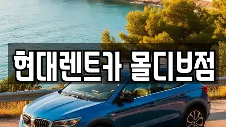 세종 장군면 장기렌트카 전문 현대렌트카 몰디브점