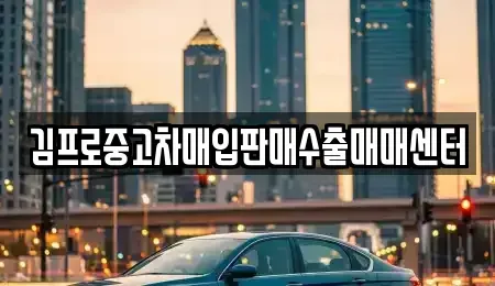 세종 장군면 중고차매매 전문 김프로중고차매입판매수출매매센터