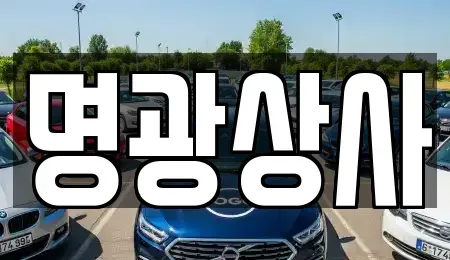 세종 중고차 전문 명광상사