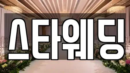 스타웨딩