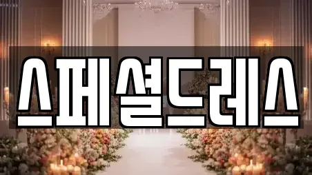 스페셜드레스