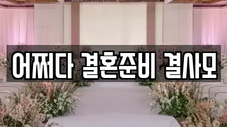 어쩌다 결혼준비 결사모