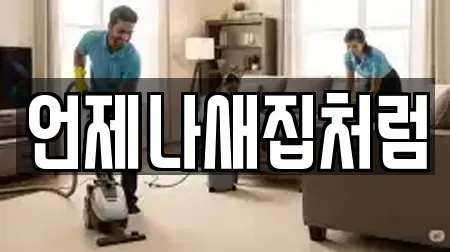 언제나새집처럼