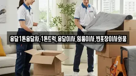 충청남도 계룡시 금암동 인근 원룸이사 16업체