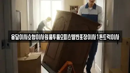 용달이사소형이사원룸투룸오피스텔반포장이사1톤트럭이사