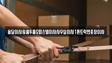 용달이사원룸투룸오피스텔이사사무실이사1톤트럭반포장이사