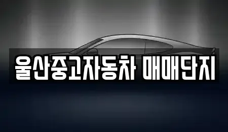 울산 중구 서동 중고차 전문 울산중고자동차 매매단지