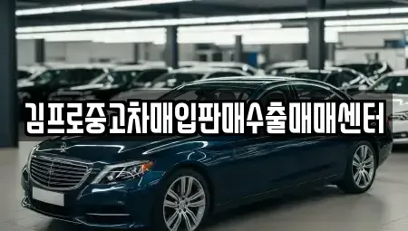 울산 중구 서동 중고차매입 전문 김프로중고차매입판매수출매매센터