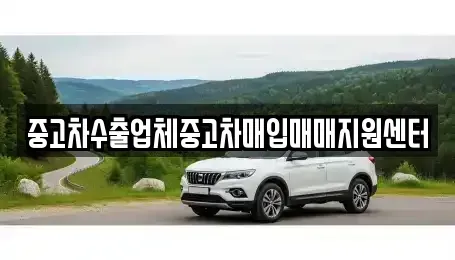 울산 중구 서동 중고차매입 전문 중고차수출업체중고차매입매매지원센터