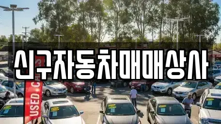 울산광역시 동구 서부동 중고차매매 전문 신구자동차매매상사