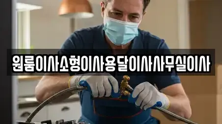 원룸이사소형이사용달이사사무실이사