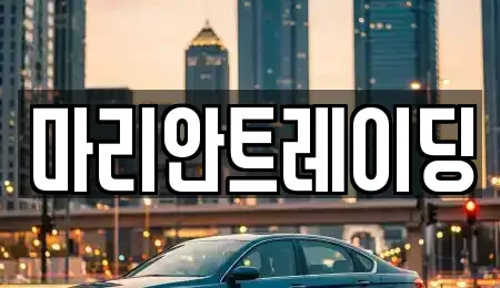 인천 서구 오류동 중고차매매 전문 마리안트레이딩