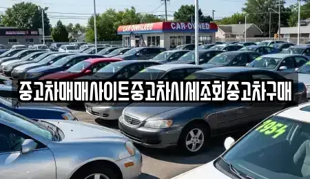 인천 서구 오류동 중고차매매 전문 중고차매매사이트중고차시세조회중고차구매