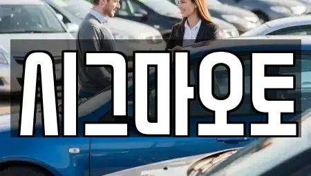 인천광역시 부평구 일신동 단기렌트카 전문 시그마오토