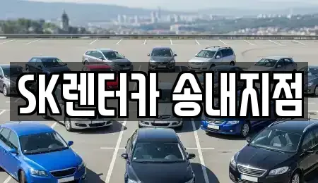 인천광역시 부평구 일신동 장기렌트카 전문 SK렌터카 송내지점