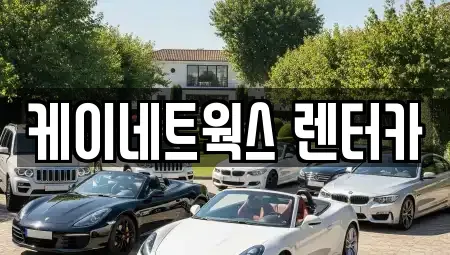 인천광역시 부평구 일신동 장기렌트카 전문 케이네트웍스 렌터카