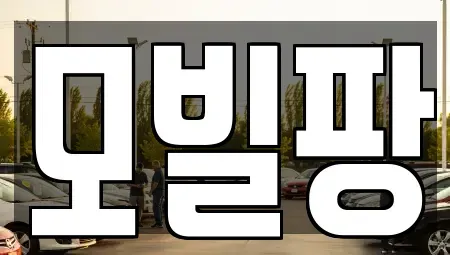 인천광역시 부평구 일신동 중고차매매 전문 모빌팡