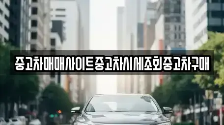 인천광역시 중구 남북동 중고차 전문 중고차매매사이트중고차시세조회중고차구매