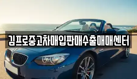 인천광역시 중구 송월동3가 중고차매입 전문 김프로중고차매입판매수출매매센터