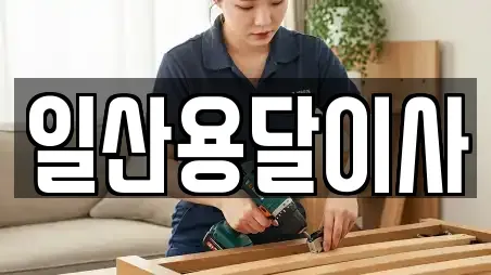 일산용달이사