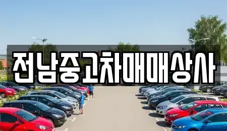 전남 고흥군 동강면 렌트카,단기렌트카,장기렌트카,중고차,중고차매매,중고차매입