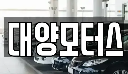 전남 나주시 동수동 중고차 전문 대양모터스