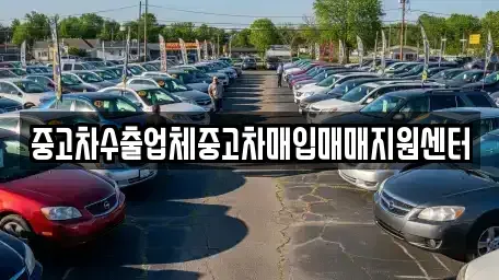 전남 나주시 동수동 중고차 전문 중고차수출업체중고차매입매매지원센터