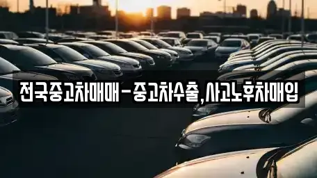 전남 목포시 중동2가 중고차 전문 전국중고차매매-중고차수출,사고노후차매입