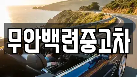 전남 무안군 몽탄면 중고차 전문 무안백련중고차