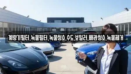 전남 순천시 와룡동 렌트카 전문 계량기필터,녹물필터,녹물청소,수도,보일러,배관청소,녹물제거