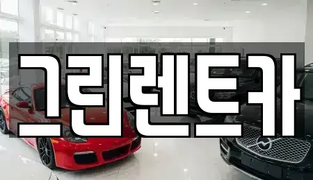 전남 여수시 선원동 렌트카 전문 그린렌트카