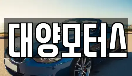 전남 장성군 삼서면 중고차매매 전문 대양모터스