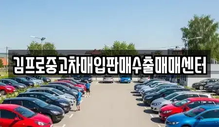 전라남도 나주시 서내동 중고차 전문 김프로중고차매입판매수출매매센터