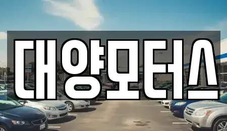 전라남도 나주시 서내동 중고차 전문 대양모터스