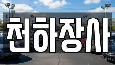 전라남도 담양군 봉산면 중고차 전문 천하장사