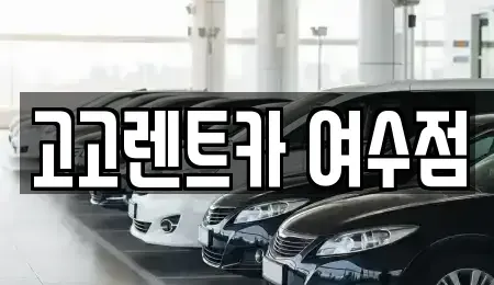 전라남도 여수시 수정동 렌트카 전문 고고렌트카 여수점