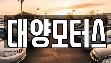 전라남도 여수시 수정동 중고차매매 전문 대양모터스