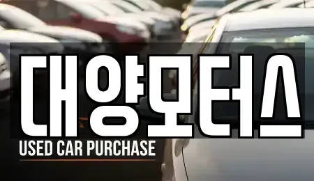 전라남도 여수시 화장동 중고차 전문 대양모터스