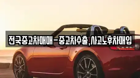 전북 남원시 죽항동 중고차 전문 전국중고차매매-중고차수출,사고노후차매입