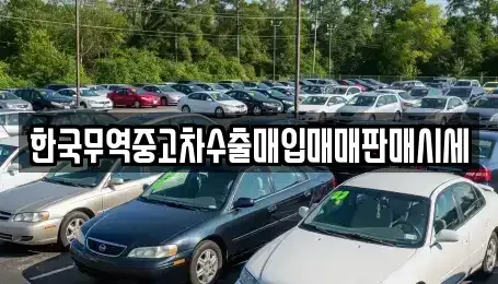 전북 남원시 죽항동 중고차매매 전문 한국무역중고차수출매입매매판매시세