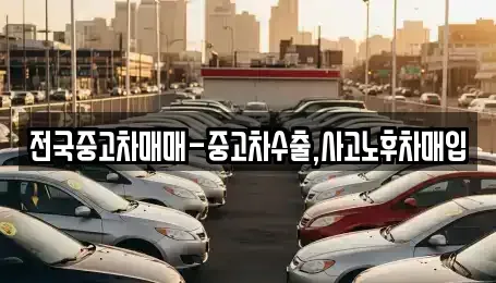 전북 익산시 중앙동2가 중고차 전문 전국중고차매매-중고차수출,사고노후차매입