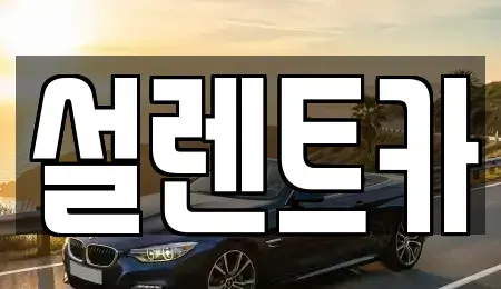 전북 전주시 완산구 서신동 렌트카 전문 설렌트카