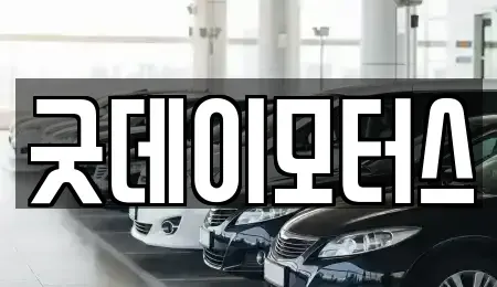 전북 전주시 완산구 서신동 중고차매매 전문 굿데이모터스