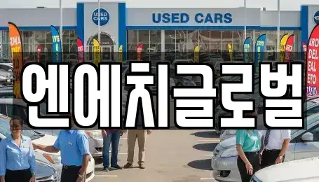 전북특별자치도 완주군 고산면 중고차 전문 엔에치글로벌
